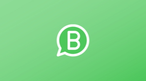 Whatsapp Business - Decom